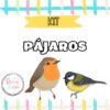 pájaros