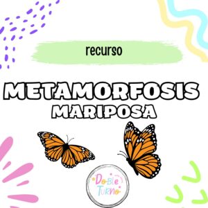 METAMORFOSIS MARIPOSA
