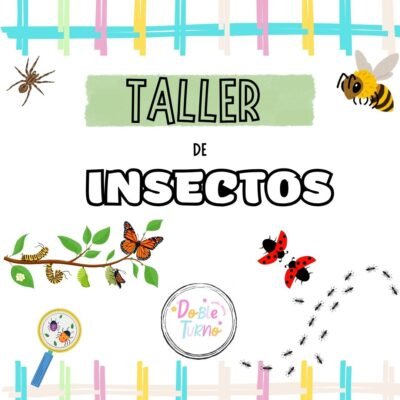 TALLER DE INSECTOS